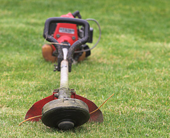 Maintenance tips for your string trimmer